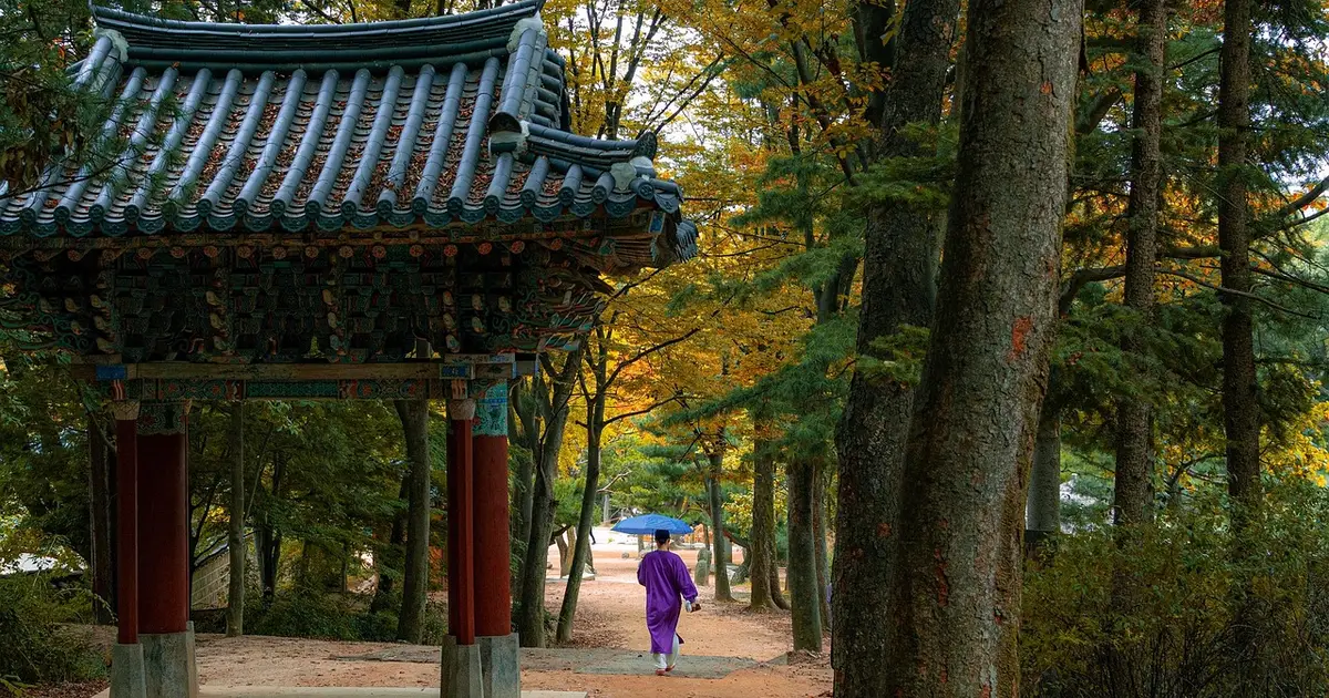 Don’t Waste Your Won: The Critical T-Money Card Mistakes Tourists Make in Korea (2026 Guide)