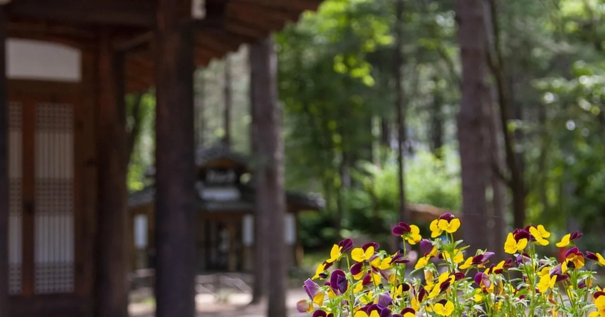 Korea summer travel day trips from Seoul under 3 hours 관련 이미지